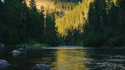 Orvis - The Last Great Place