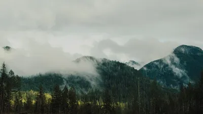 From Sawmills to Singletrack